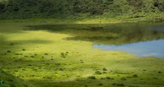 Mukurthi National Park